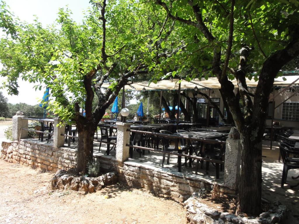 Отель Terrasses De L'Aven Orgnac-l'Aven Экстерьер фото